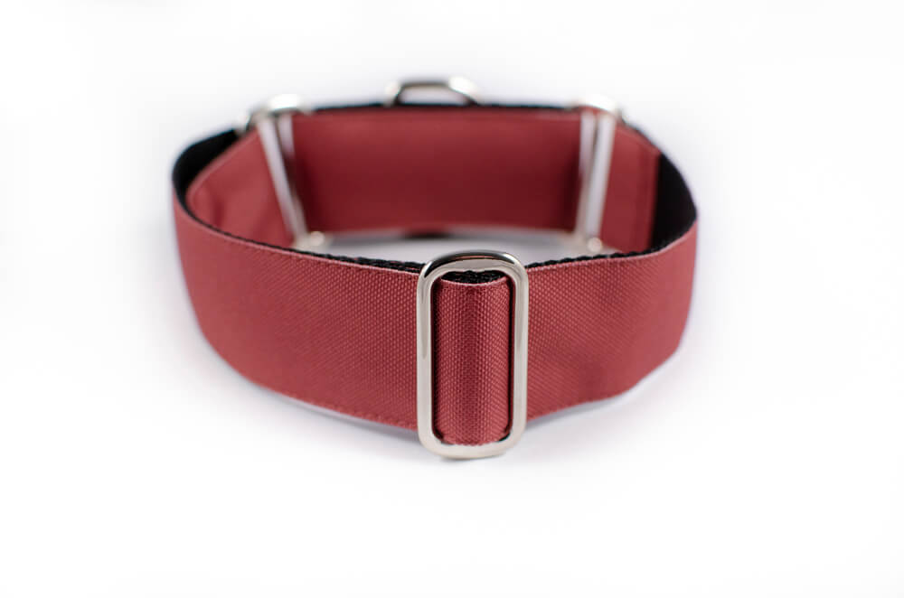 mauve martingale dog collar