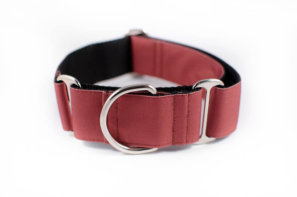 mauve martingale dog collar