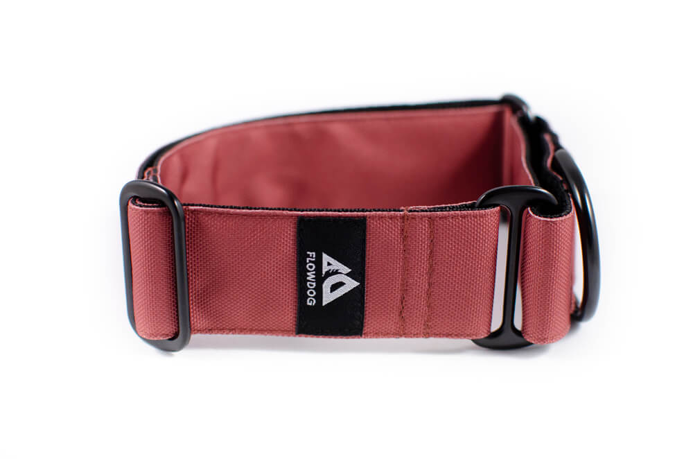 mauve martingale dog collar