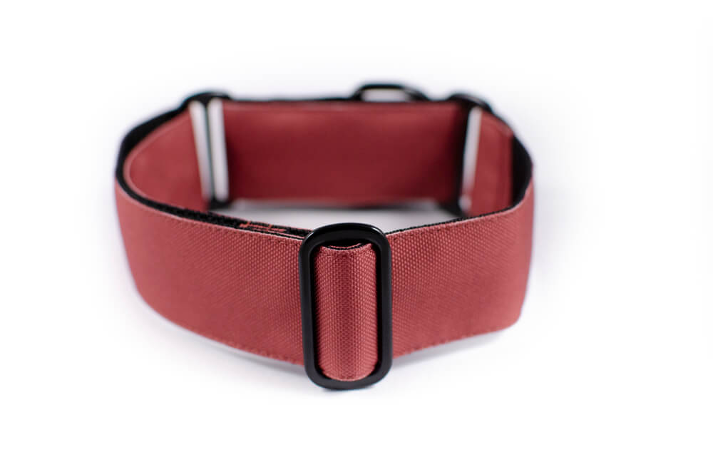 mauve martingale dog collar