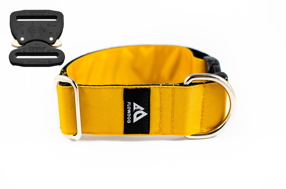 mustard yellow dog collar with austrialpin buckle