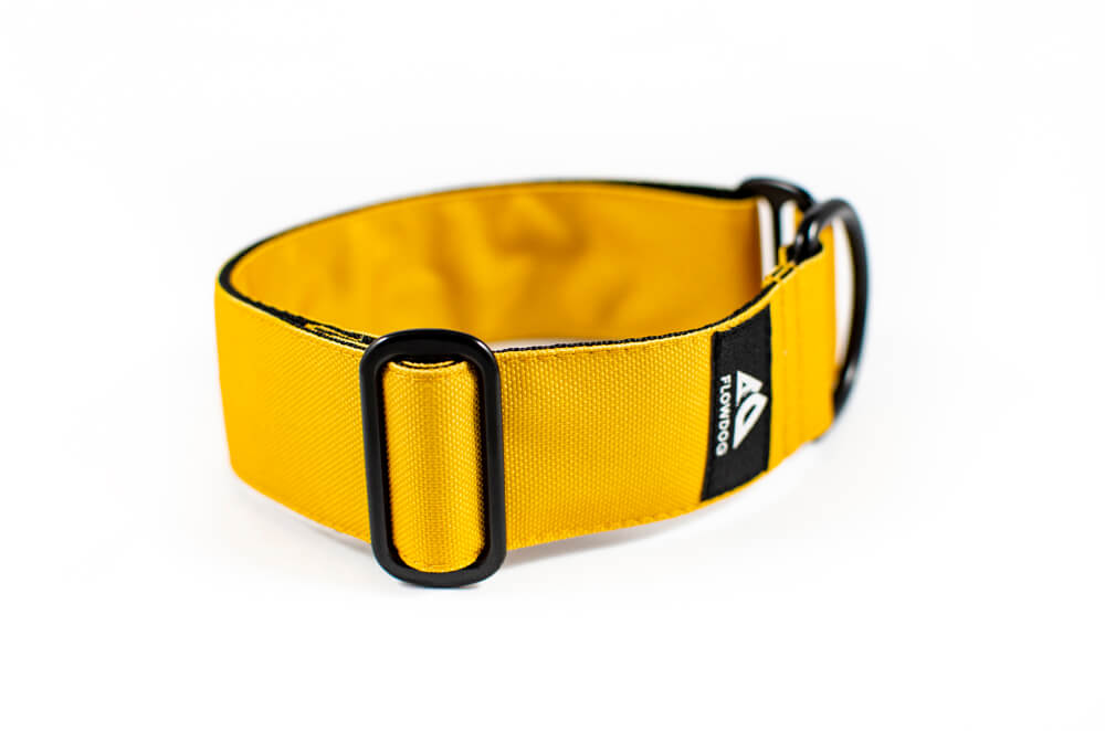 mustard yellow slip-on dog collar