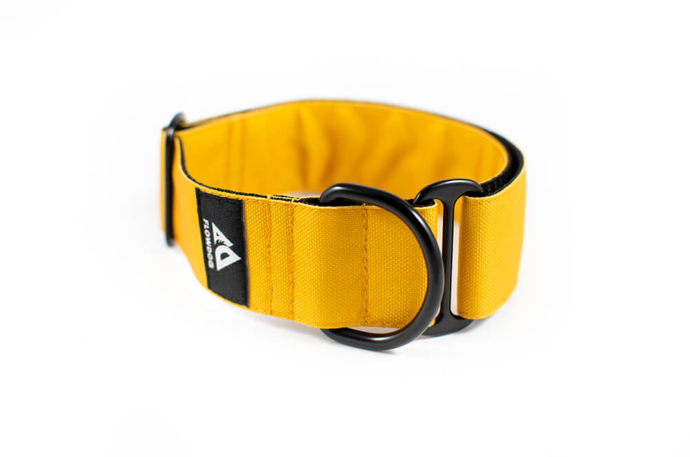 mustard yellow slip-on dog collar