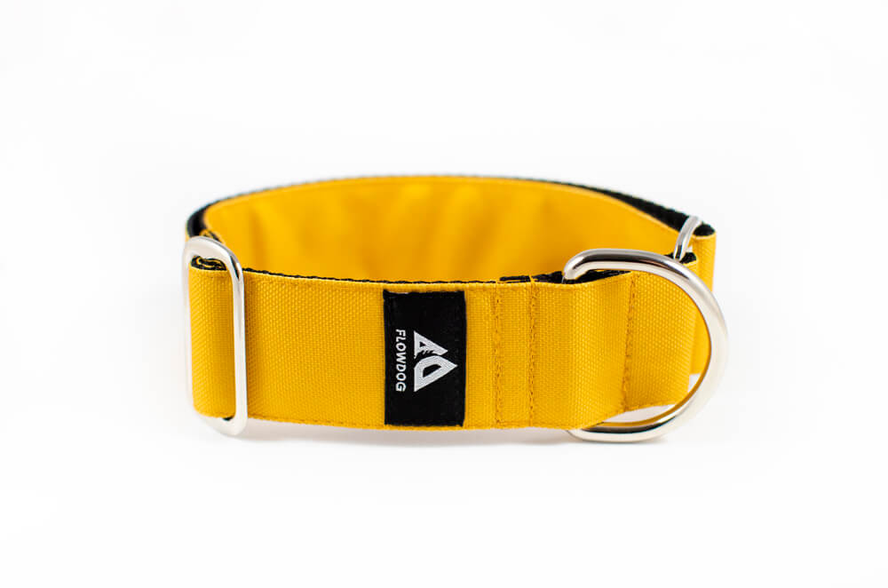 mustard yellow slip-on dog collar