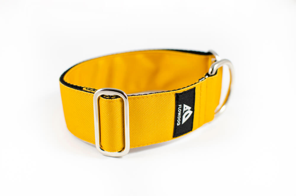 mustard yellow slip-on dog collar