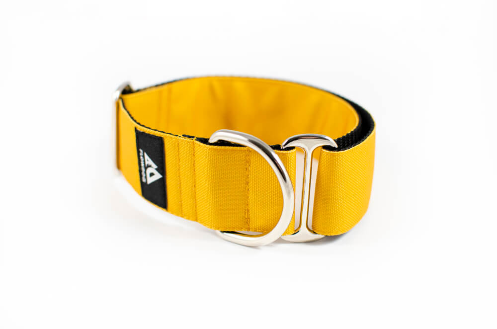 mustard yellow slip-on dog collar