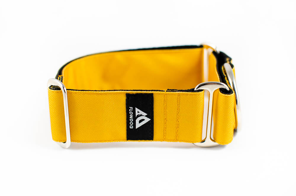 mustard yellow martingale dog collar