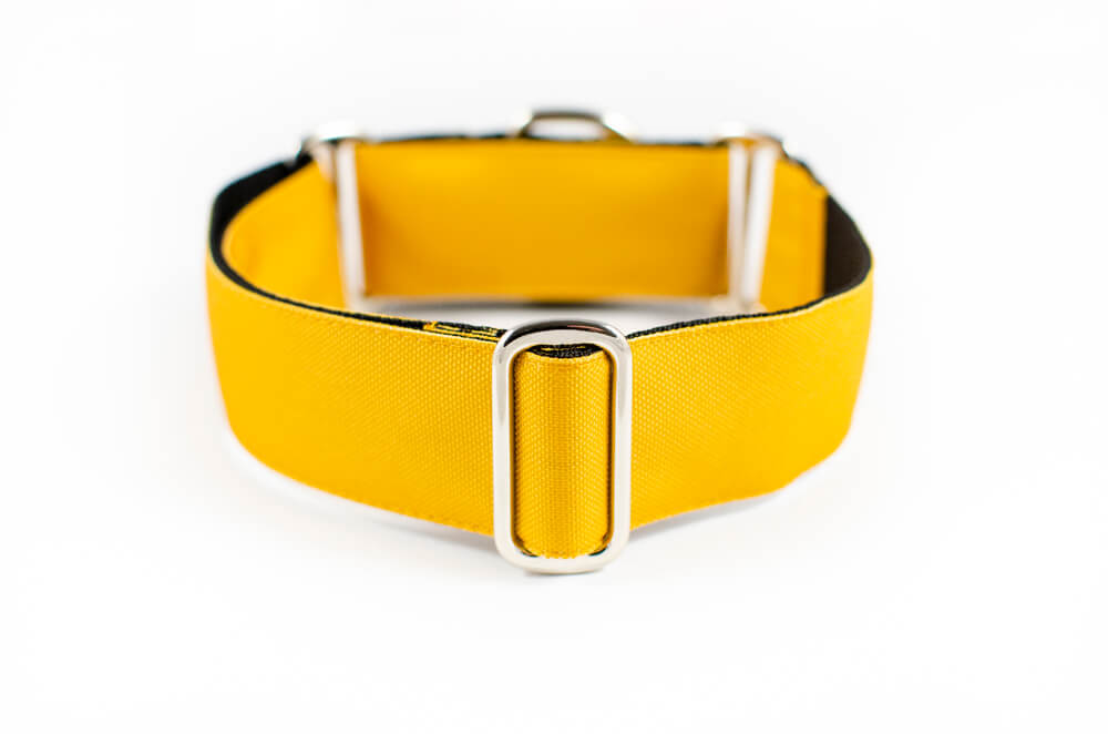 mustard yellow martingale dog collar