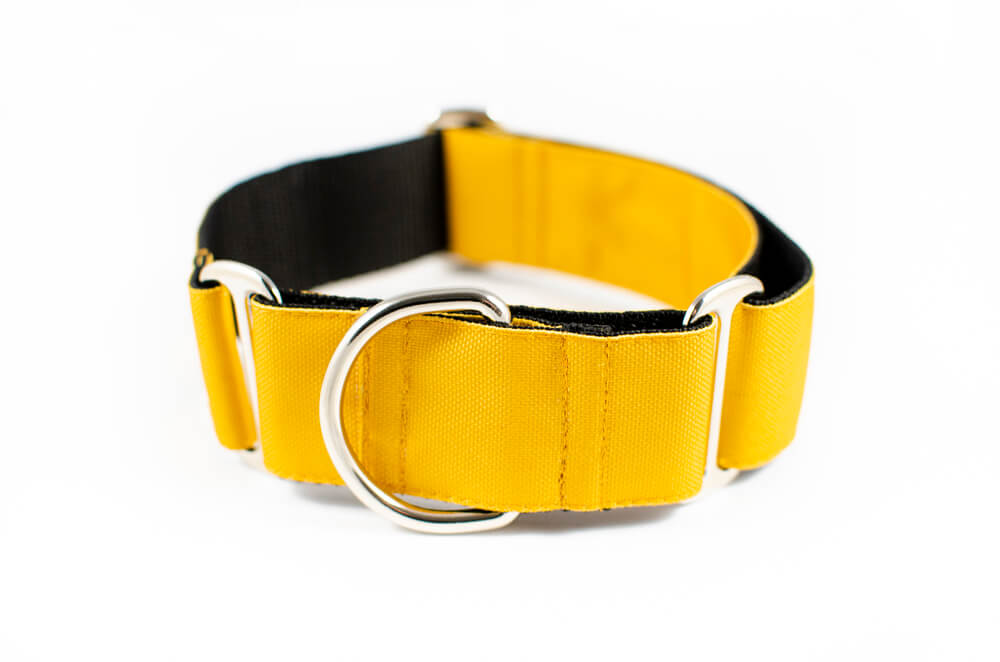 mustard yellow martingale dog collar