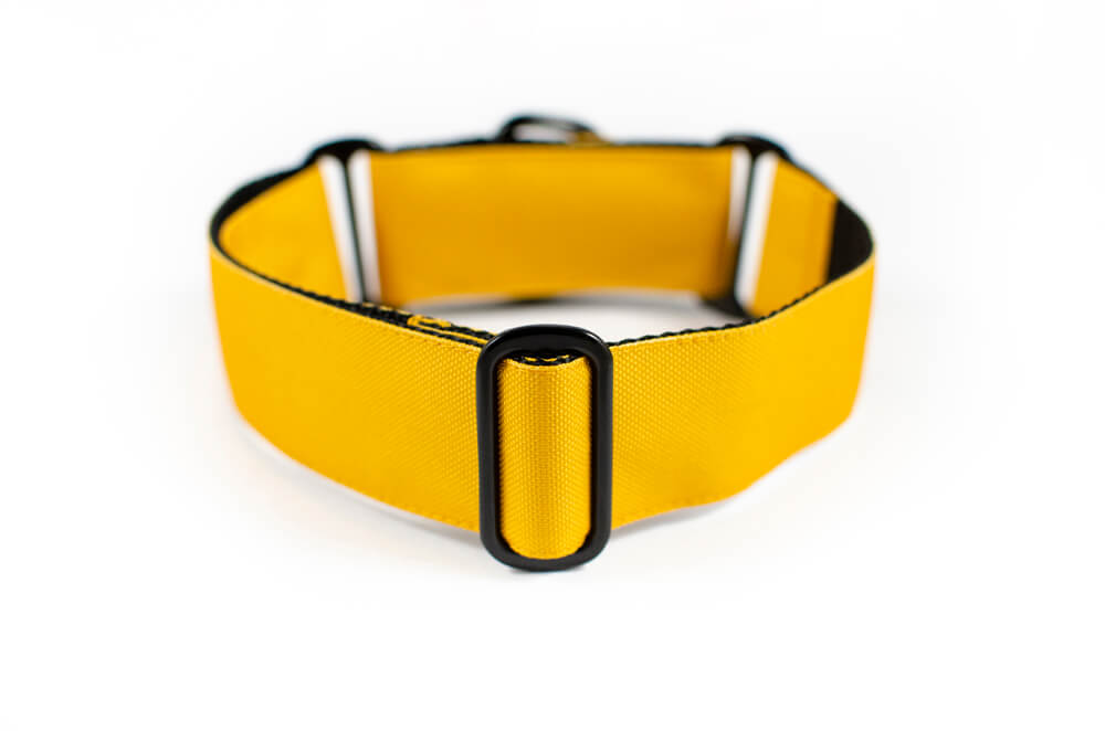 mustard yellow martingale dog collar