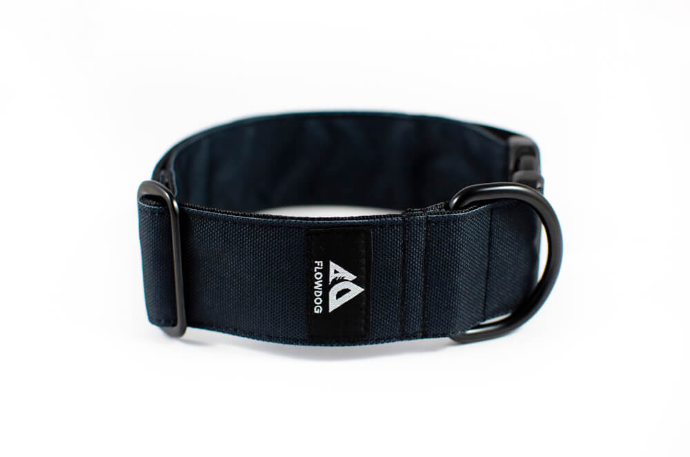 black dog collar with buckle