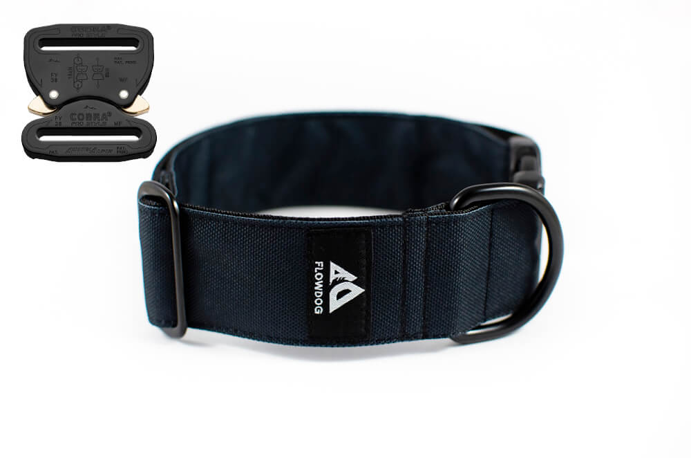 black dog collar with austrialpin buckle