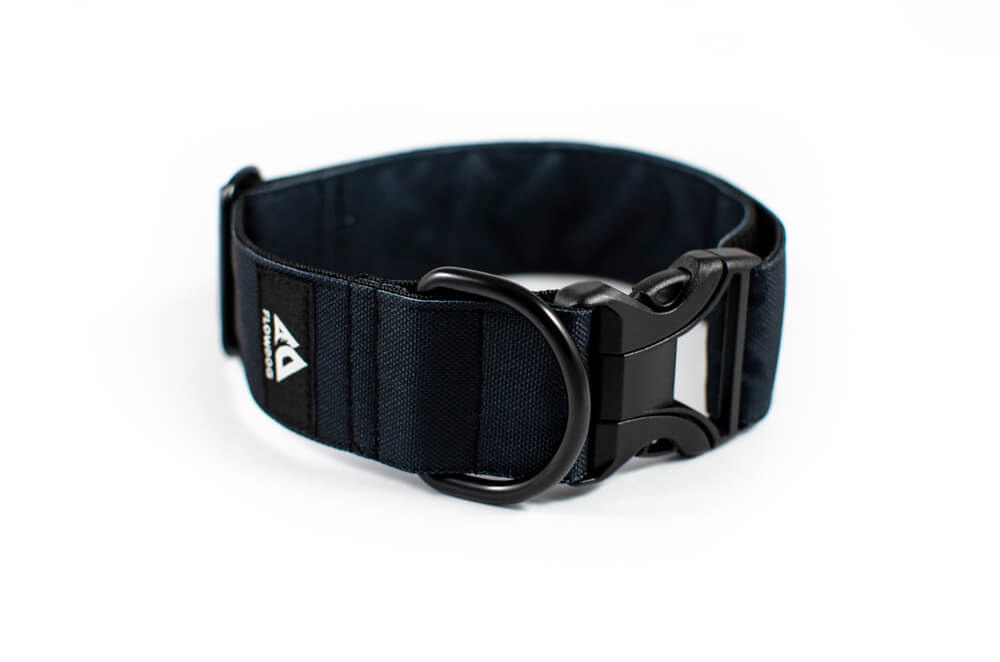 black dog collar with buckle