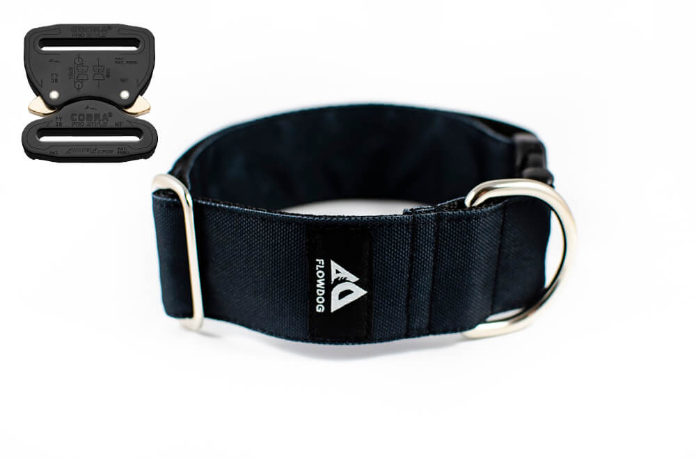 black dog collar with austrialpin buckle