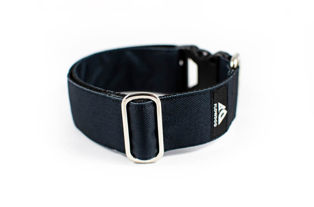 black dog collar with buckle