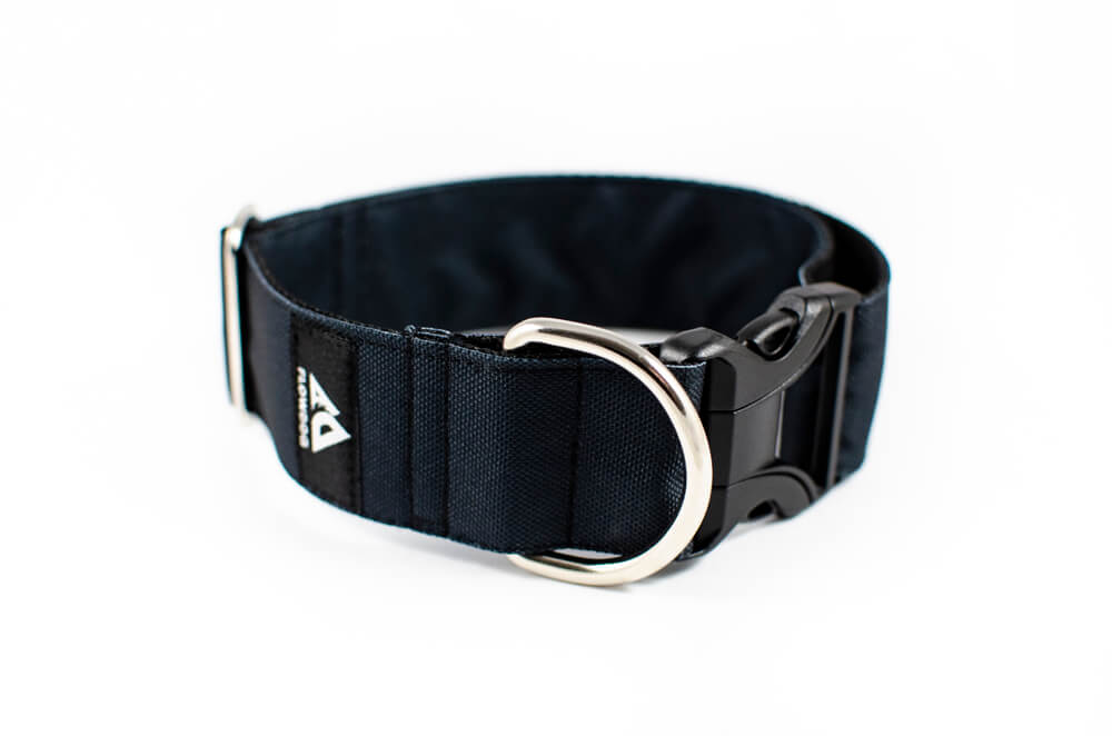 black dog collar with buckle