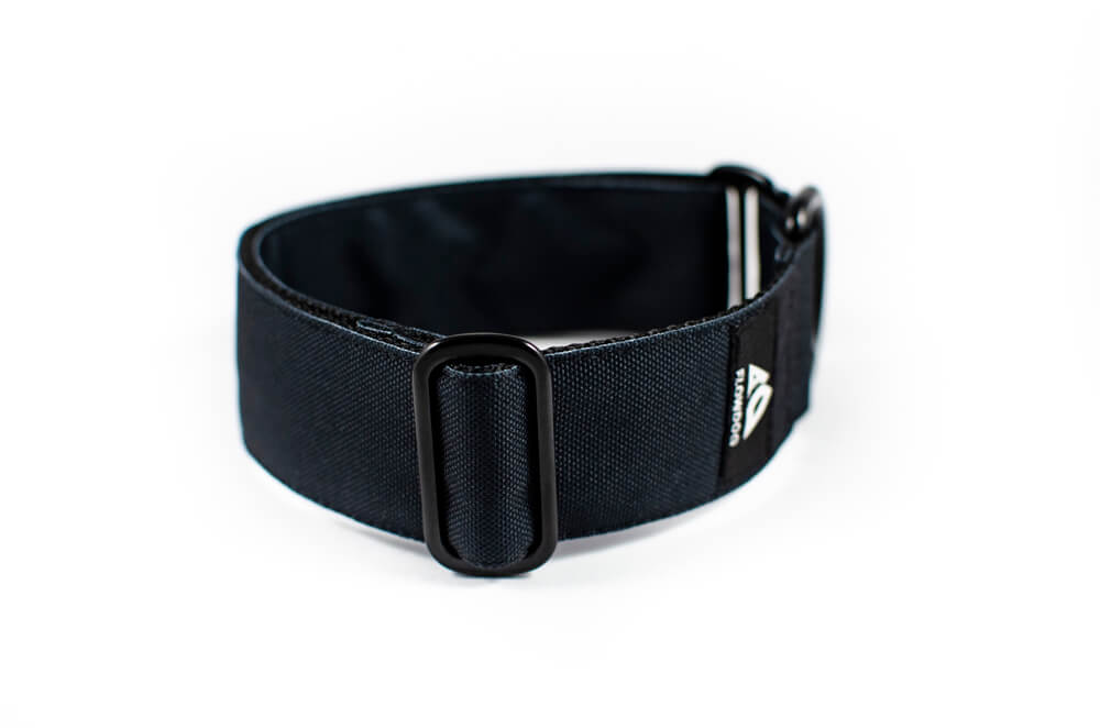 black slip-on dog collar