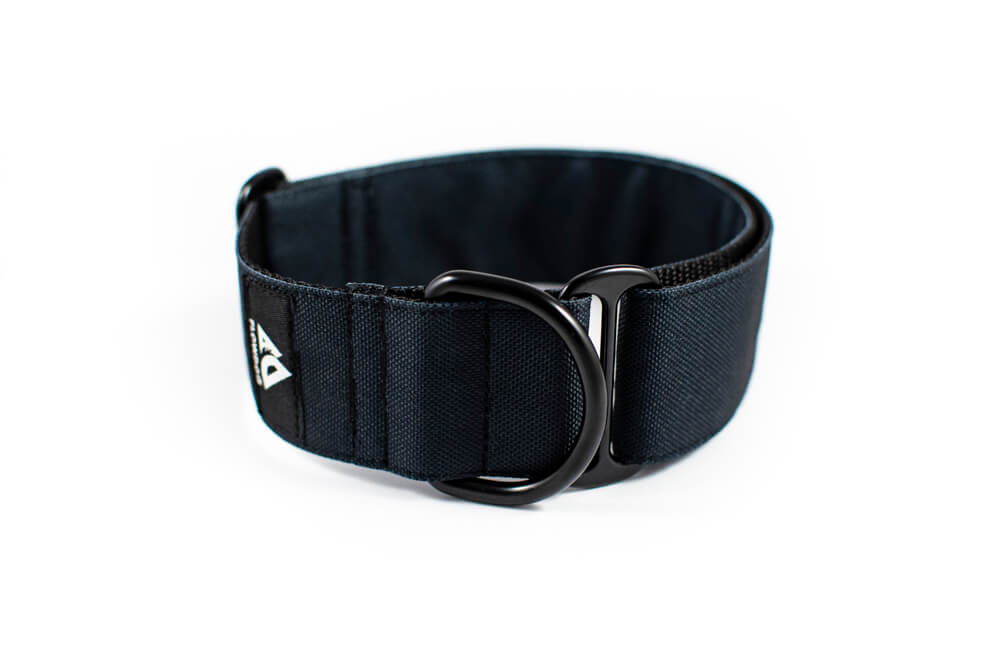 black slip-on dog collar