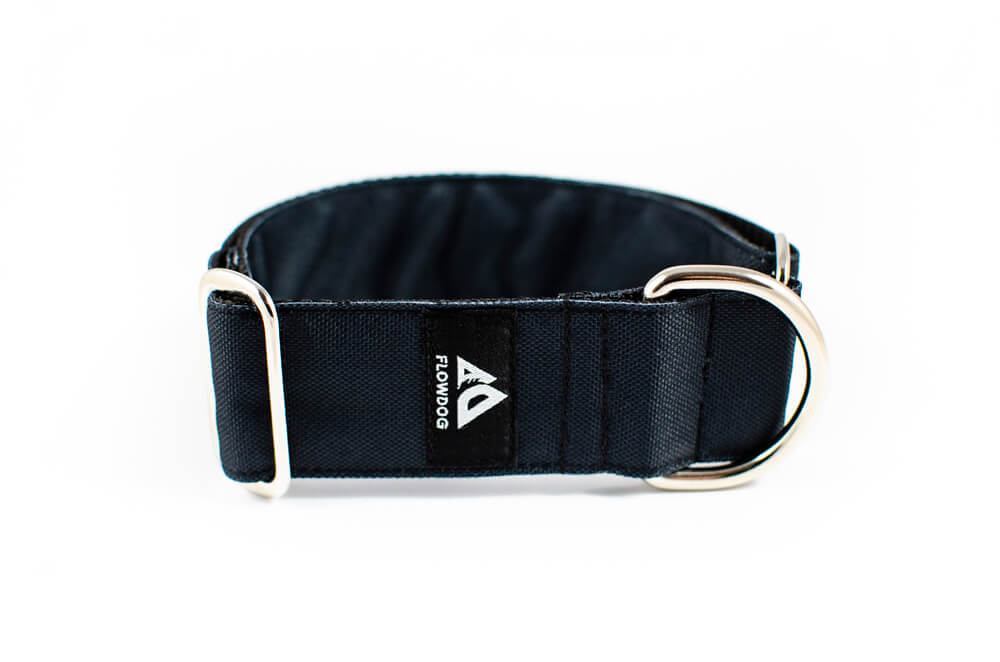 black slip-on dog collar