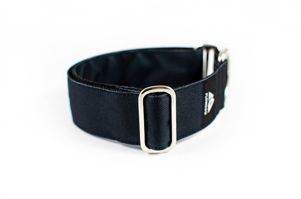 black slip-on dog collar