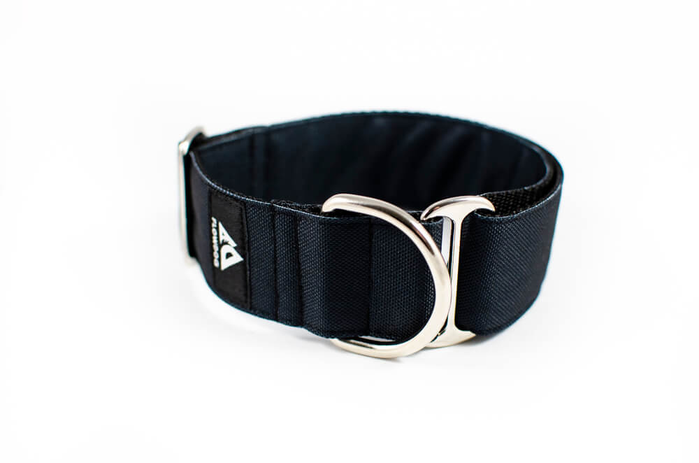 black slip-on dog collar