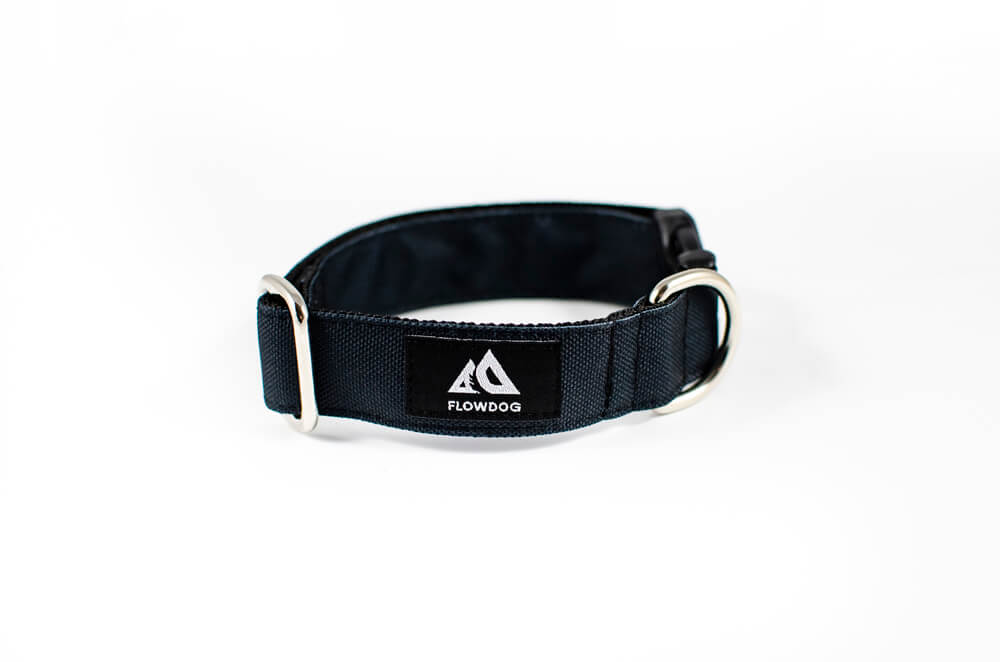 black dog collar with buckle