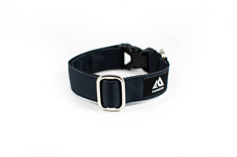 black dog collar with buckle