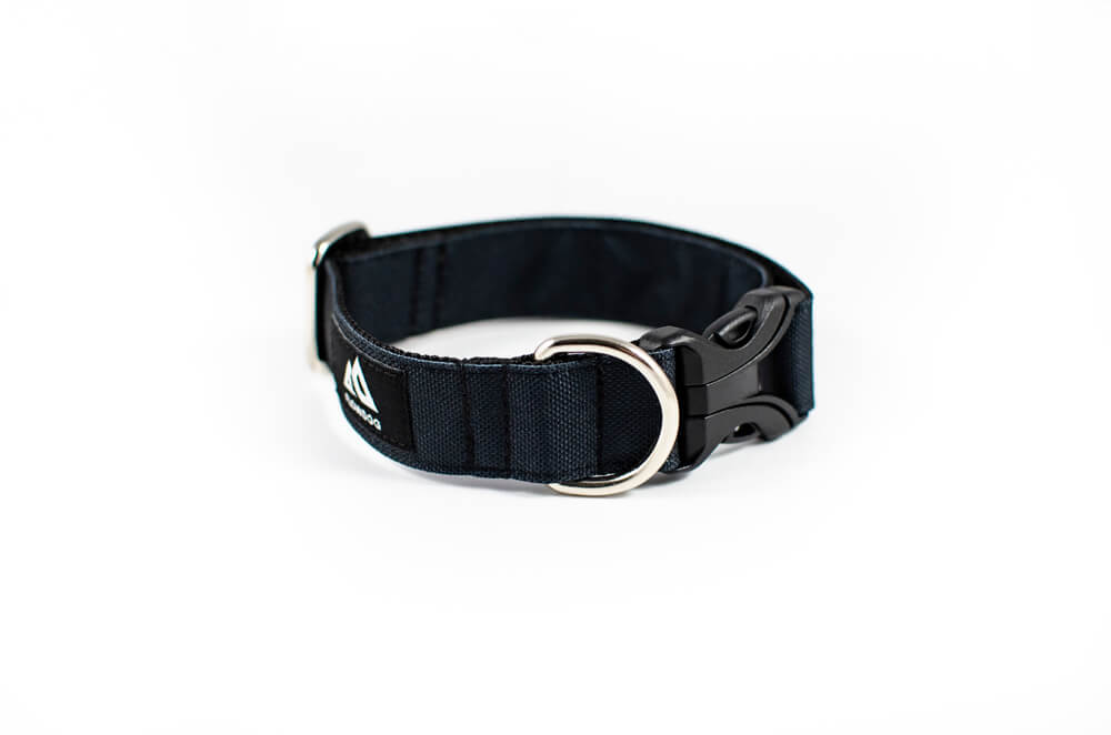 black dog collar with buckle