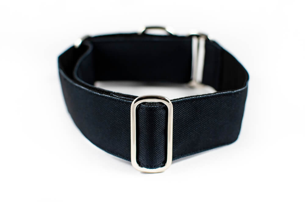 black martingale dog collar