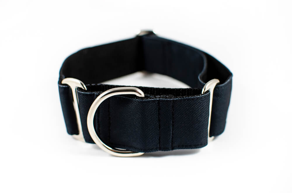 black martingale dog collar