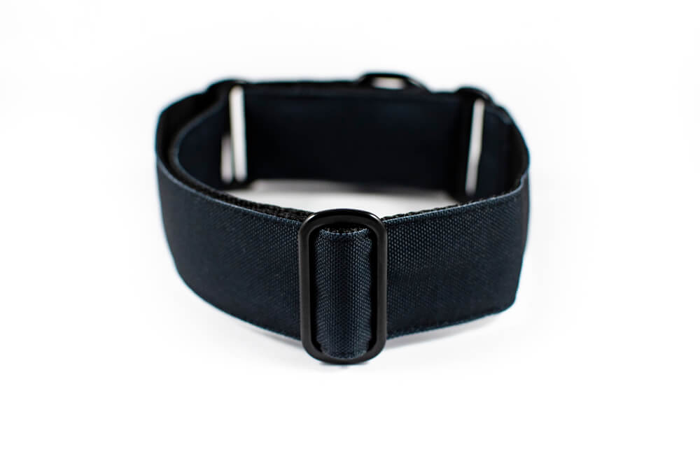 black martingale dog collar