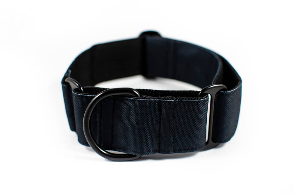 black martingale dog collar