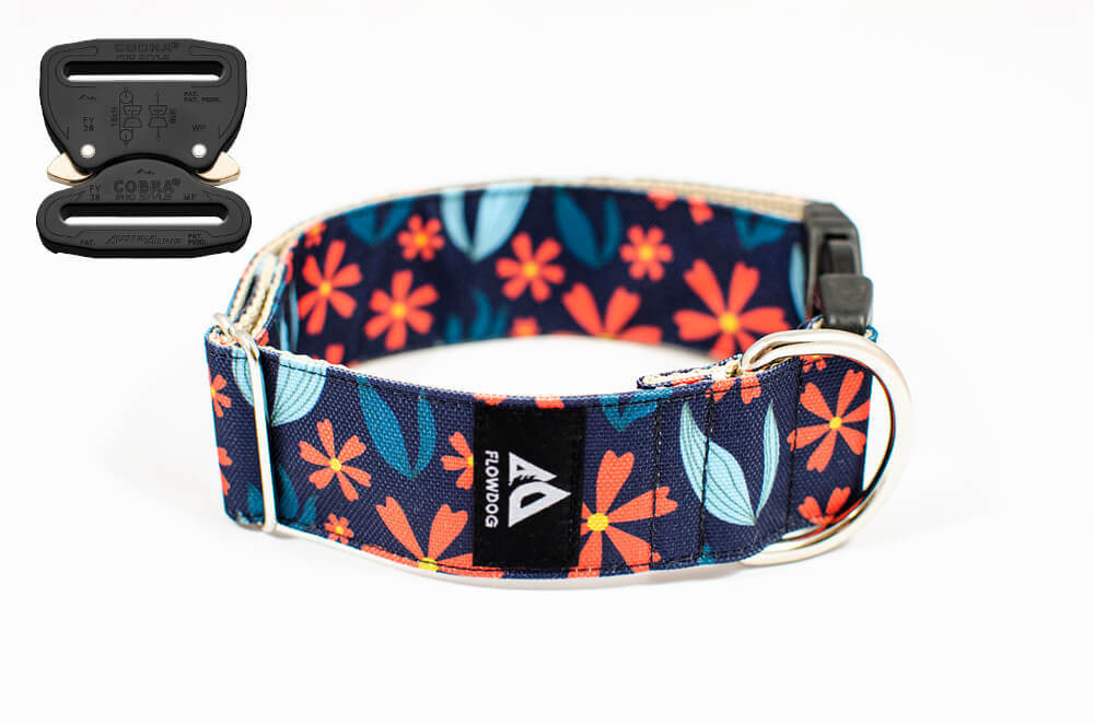 blue floral gerbera dog collar with austrialpin buckle