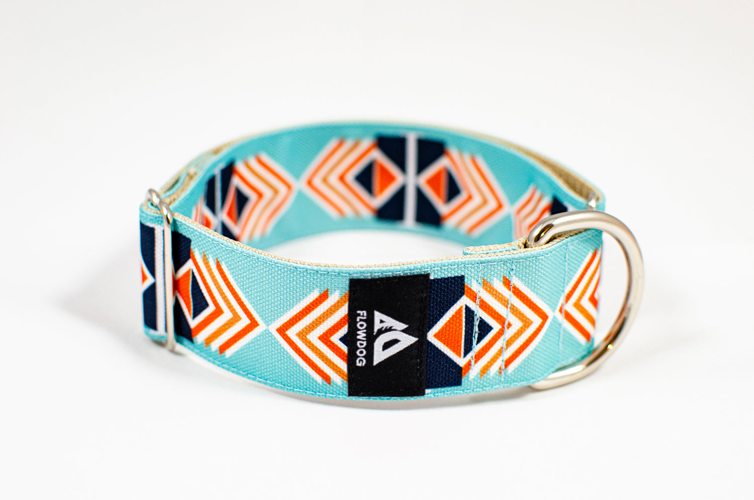 garda turquoise slip-on dog collar