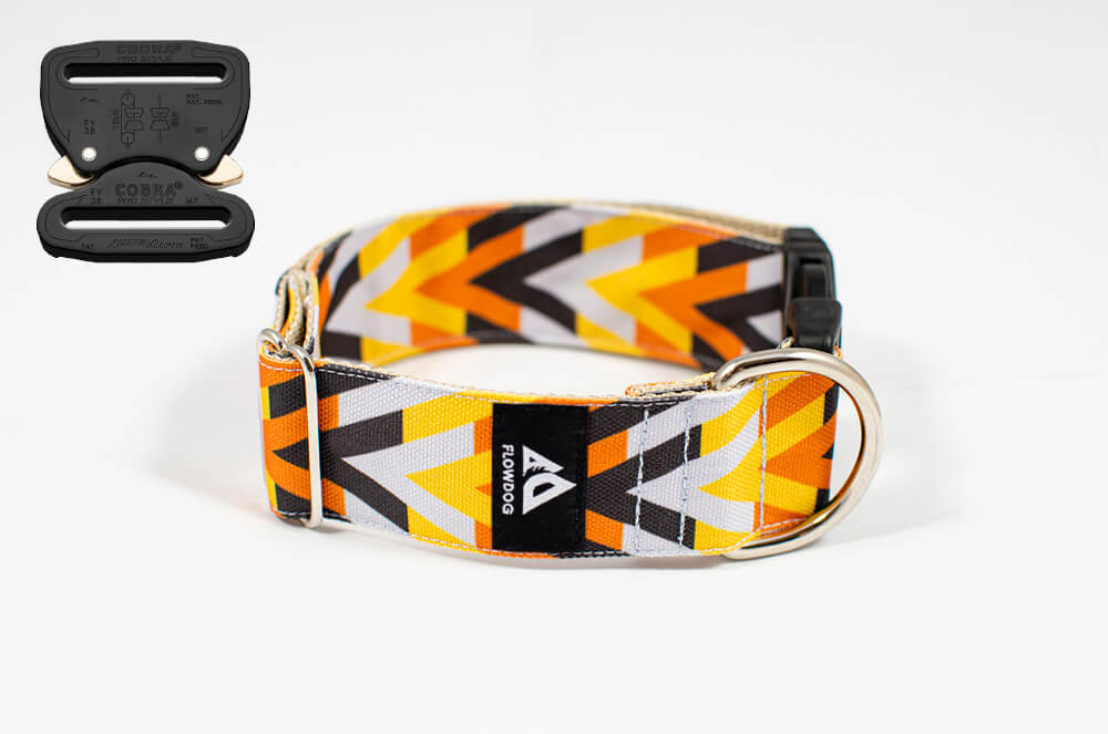 morocco orange dog collar with austrialpin buckle