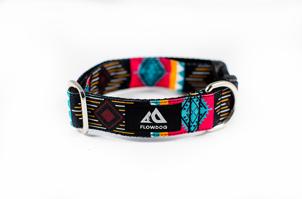 Costa Rica - Plus Buckle Collar