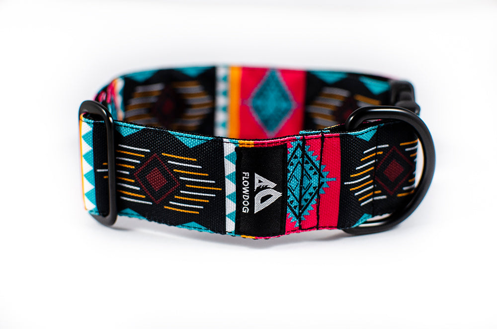 Costa Rica - Plus Buckle Collar