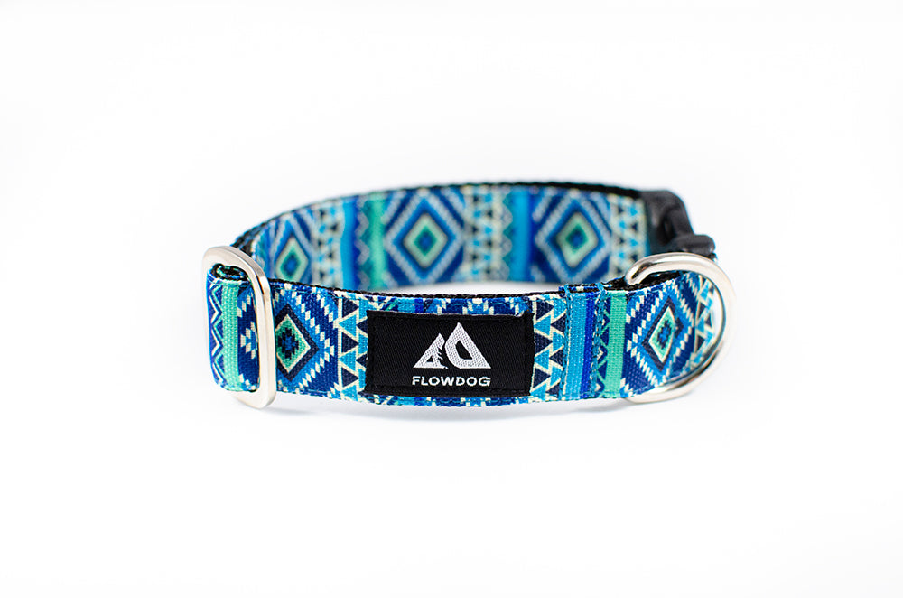 Belize - Plus Buckle Collar