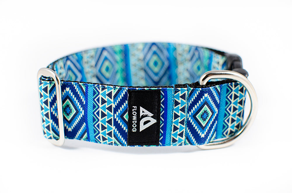 Belize - Plus Buckle Collar