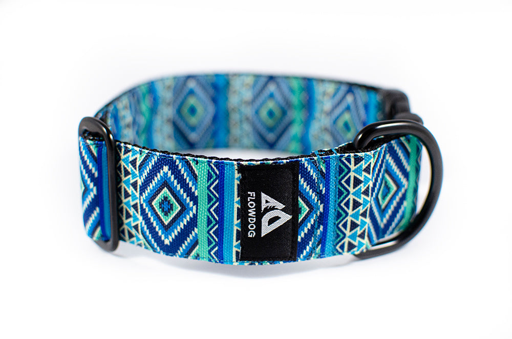 Belize - Plus Buckle Collar