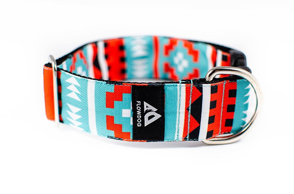 Salvador - Plus Buckle Collar