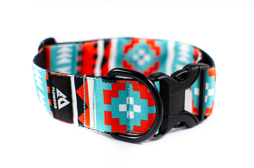 Salvador - Plus Buckle Collar