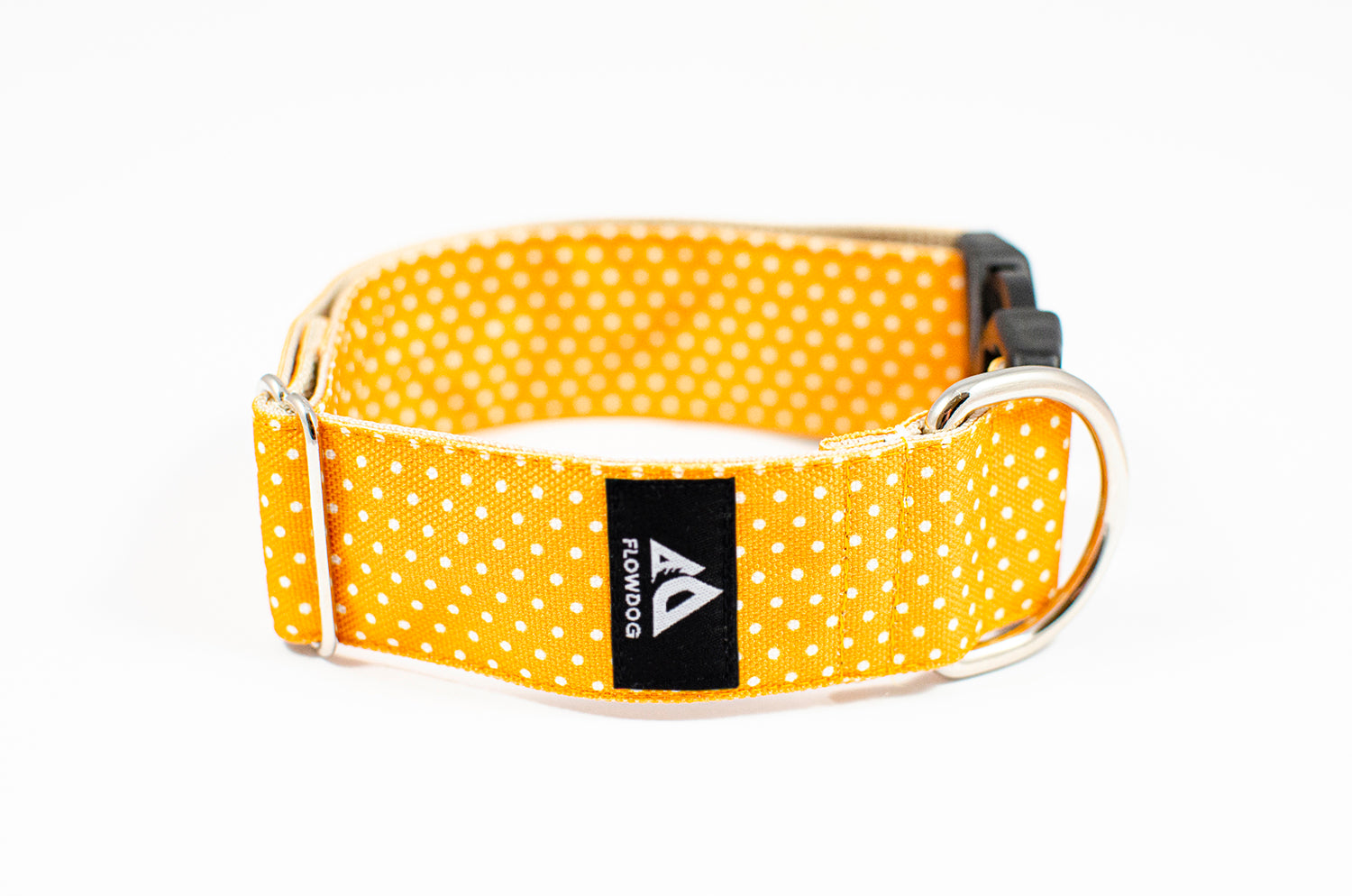 yellow dotted dog collar with buckle