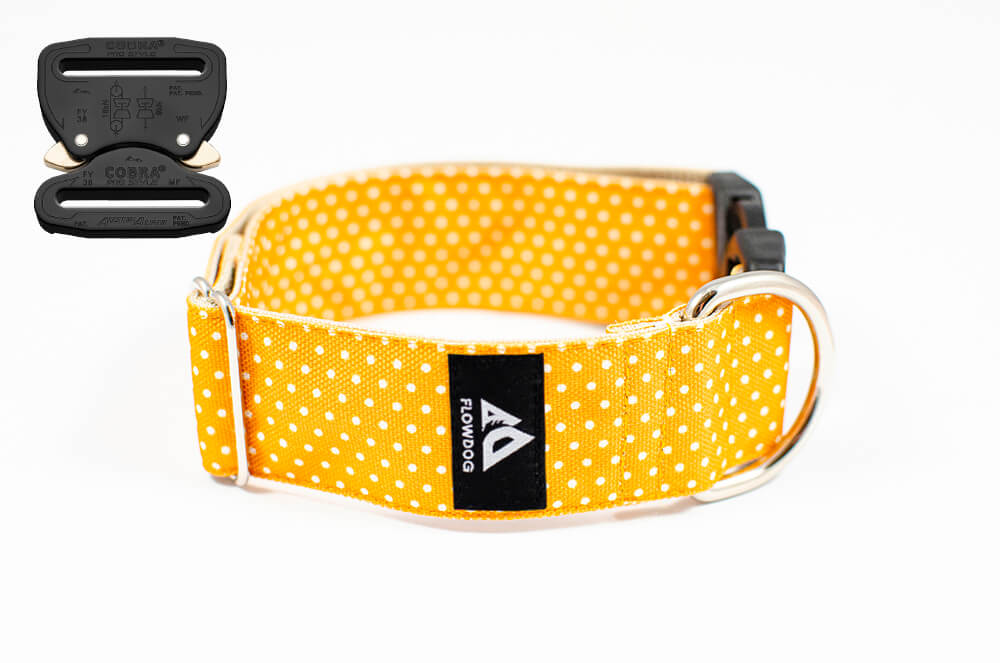 yellow dotted dog collar with austrialpin buckle