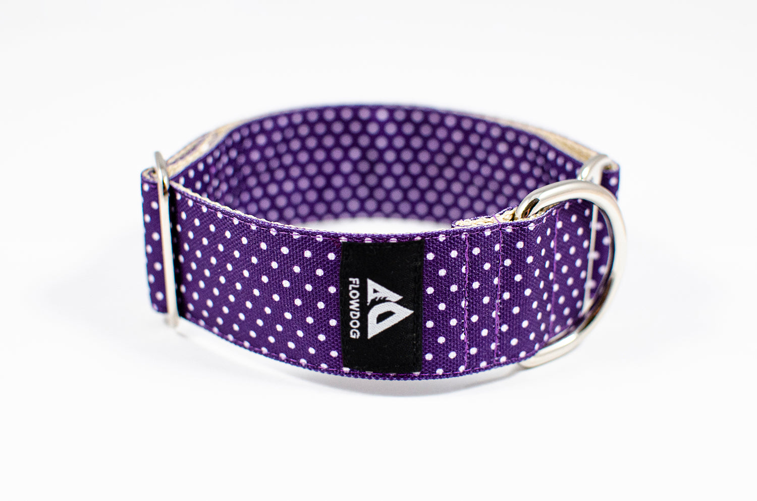 purple dotted slip-on dog collar