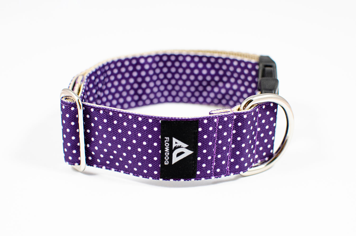 purple dotted dog collar with buckle