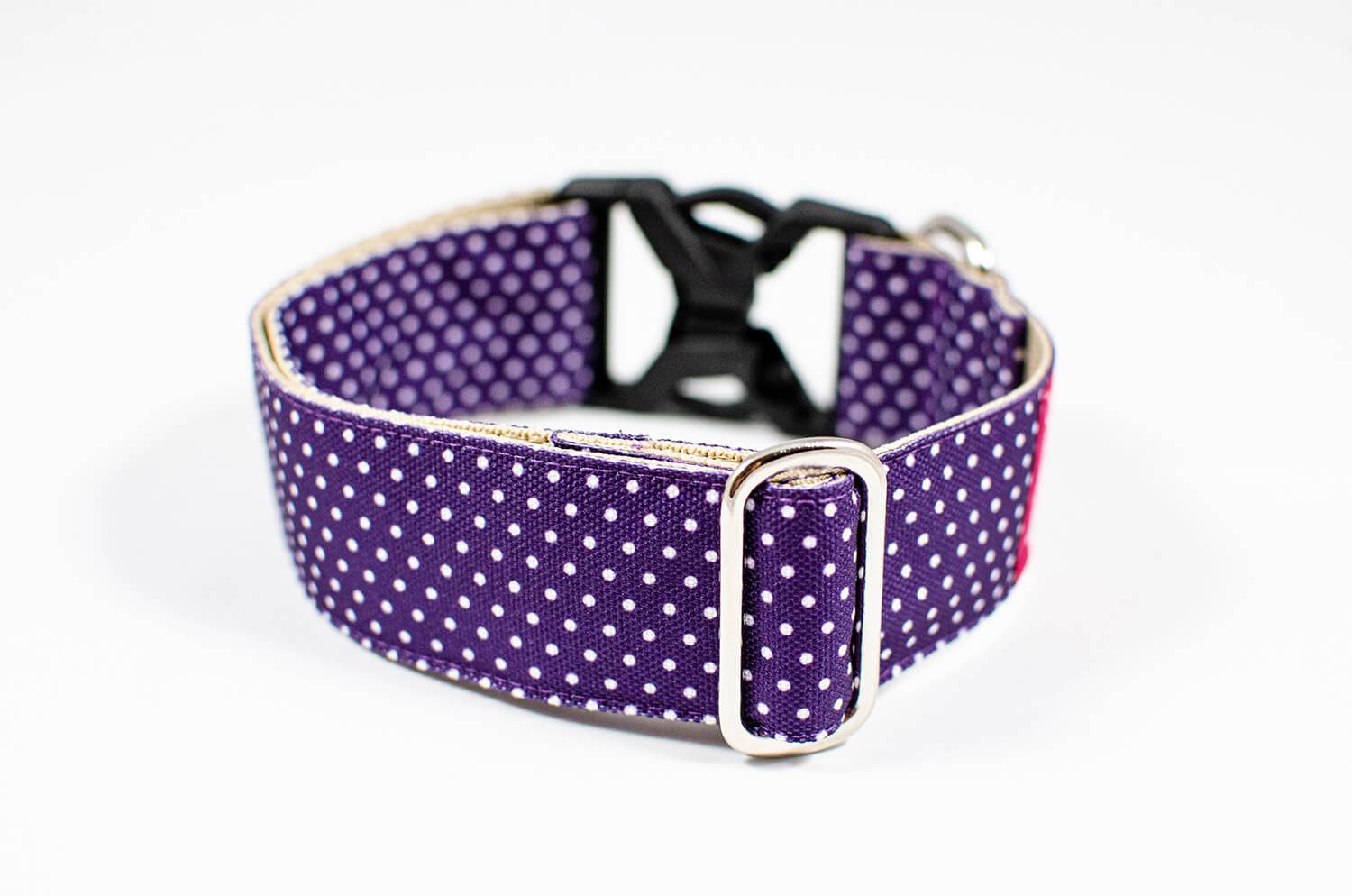 purple dotted dog collar with buckle