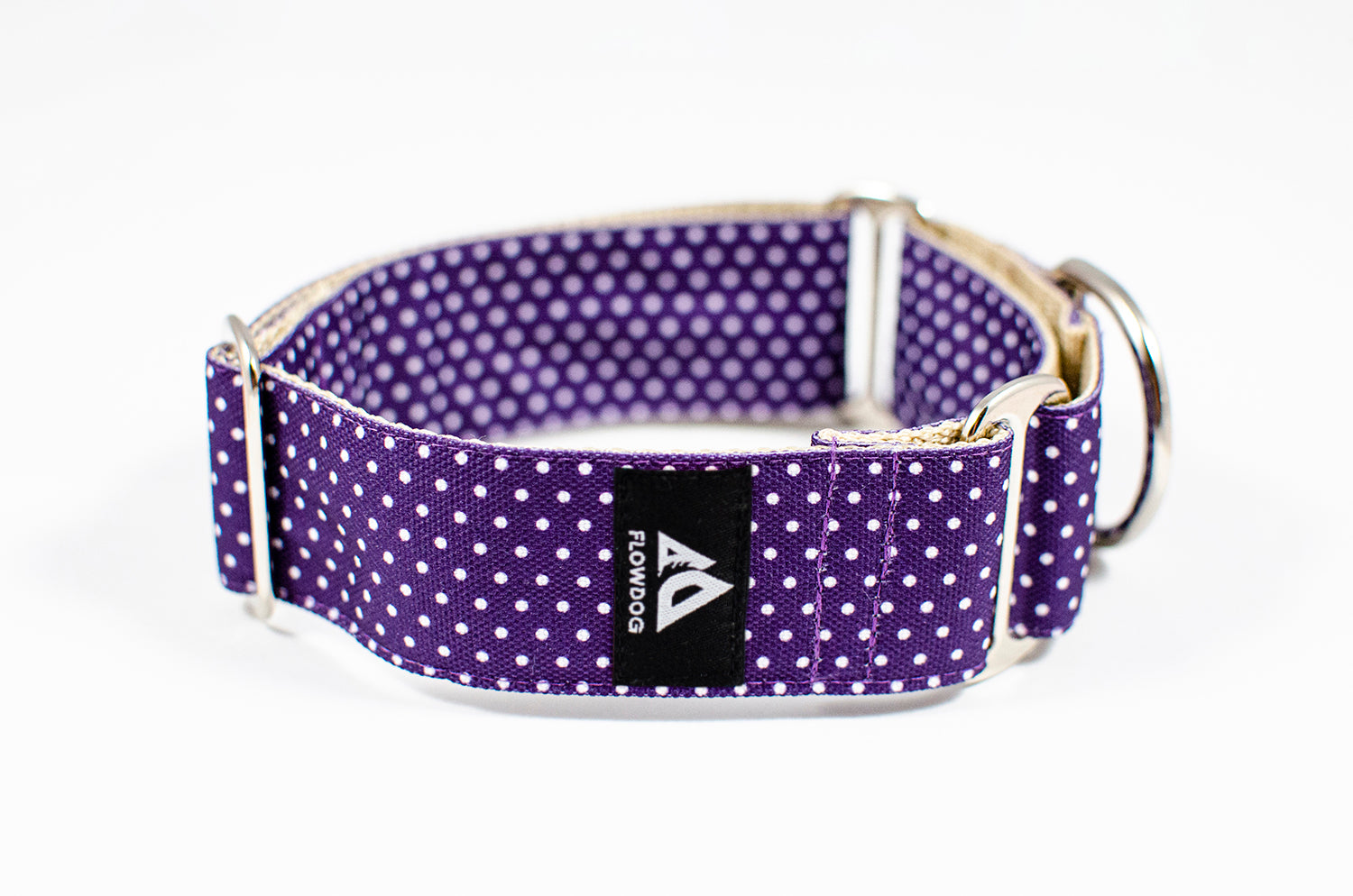 purple dotted martingale dog collar