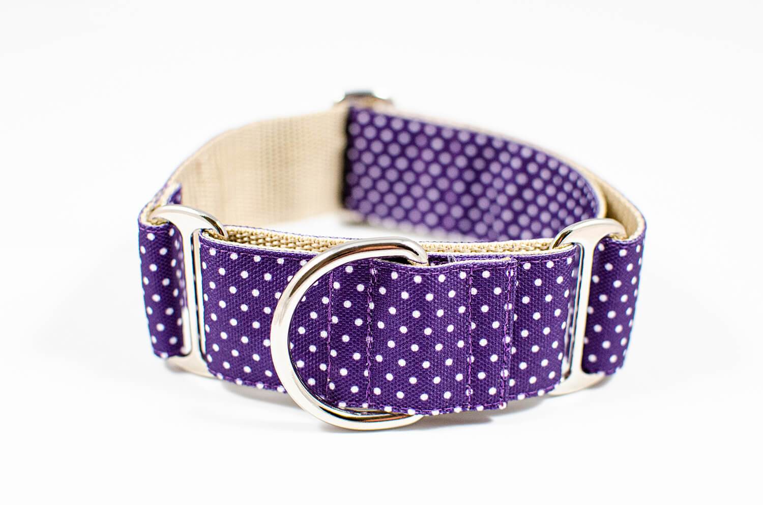 purple dotted martingale dog collar