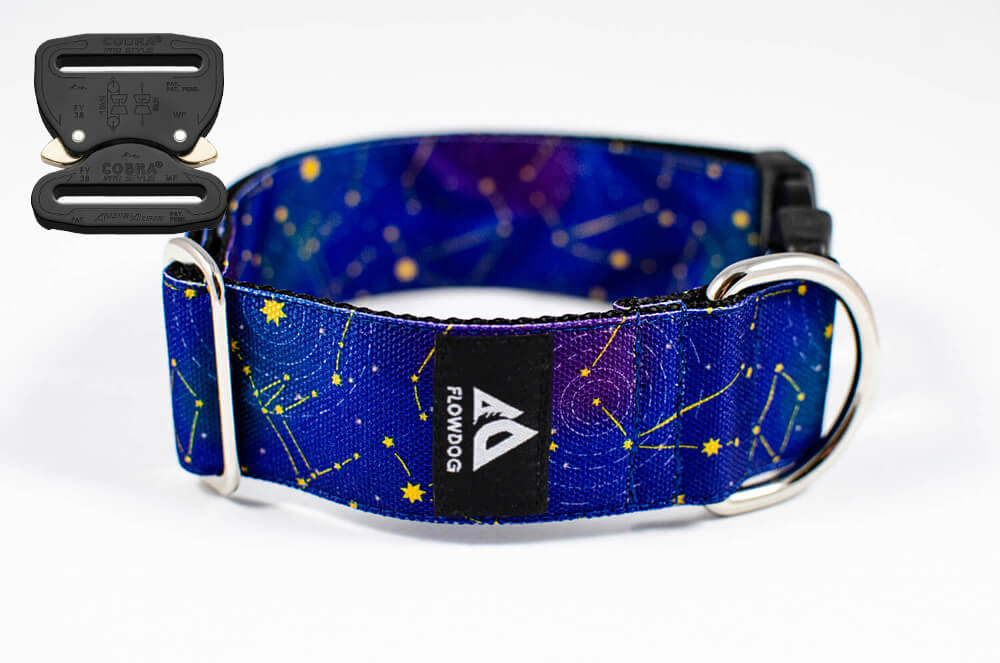 stardust blue dog collar with austrialpin buckle